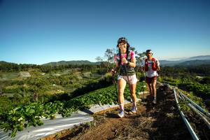 BIB: 
                            <button type="button" onclick="openModal(19116604)" class="btn btn-primary btn-sm float-right btn-popup" data-toggle="modal" data-target=".modal-high-quality">
                        <i class="fas fa-shopping-cart"></i> Add to Cart
                    </button>
                                            <button type="button" onclick="isThisMe(19116604, true)" class="btn btn-success btn-sm float-right btn-popup btn-isme hidden" data-toggle="tooltip" data-placement="bottom" title="นี่คือรูปของคุณใช่ไหม คลิกที่นี่เพื่อเอาเข้าอัลบั้ม">
                        <i class="fas fa-plus"></i> Add to album
                    </button>
                    <button type="button" onclick="isThisMe(19116604, false)" class="btn btn-warning btn-sm float-right btn-popup btn-isnotme hidden">
                        <i class="fas fa-ban"></i> Remove from album
                    </button>